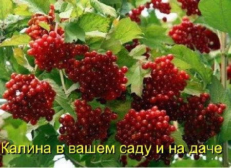 Нажмите что бы перейти на новость