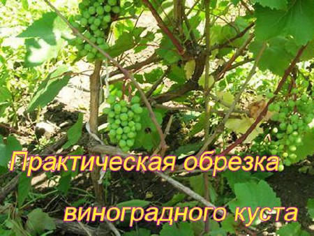 Нажмите что бы перейти на новость